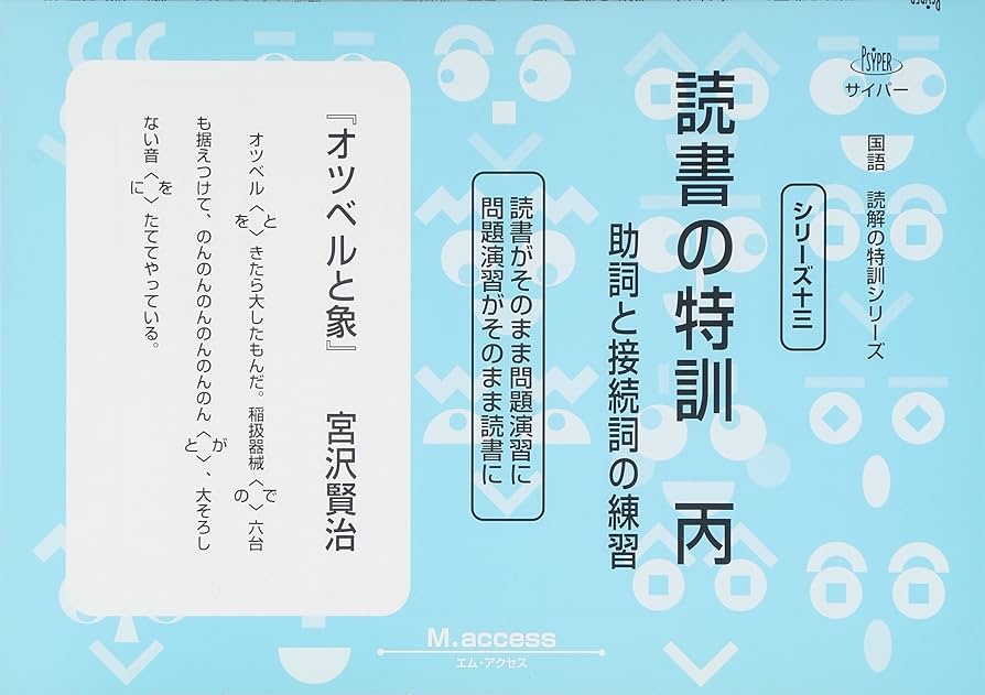国語読解シリーズ 十三 読書の特訓 丙 |本 | 通販 | Amazon